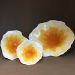 Bloemen van Dilvin
