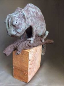 kameleon